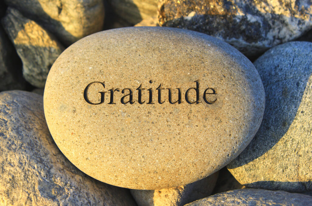 The Speed of Gratitude