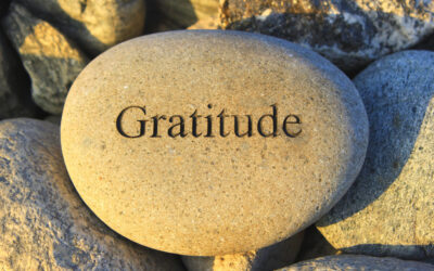 The Speed of Gratitude